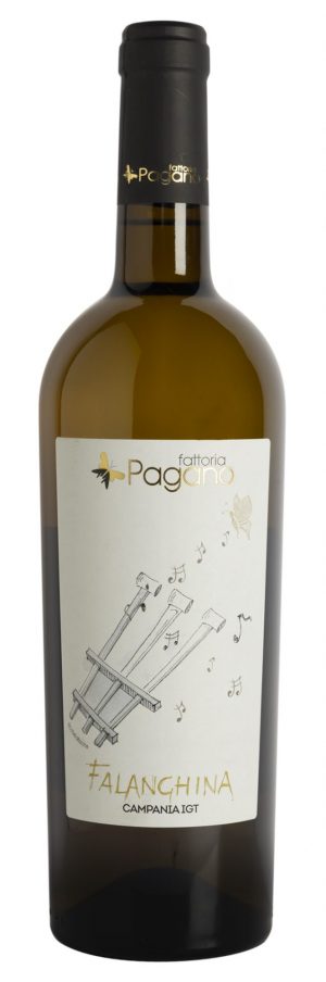 White wine. Grapes: Fiano 100%. It is yellow with green reflections. Its scent is an elegant bouquet of peach blossoms and toasted hazelnuts. It has a fresh and mineral taste.